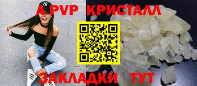 крисы Новодвинск