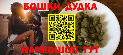 крисы Новодвинск