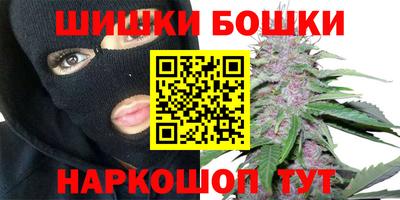 крисы Новодвинск