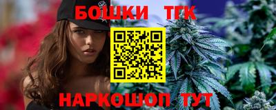 крисы Новодвинск