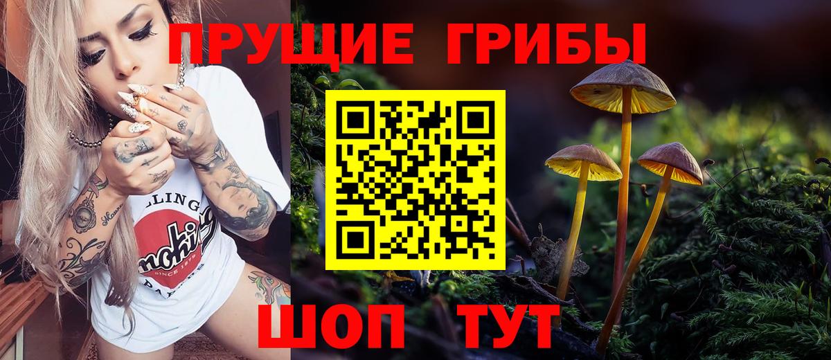 Белгород  Галлюциногенные грибы мухоморы  Вход с VPN 